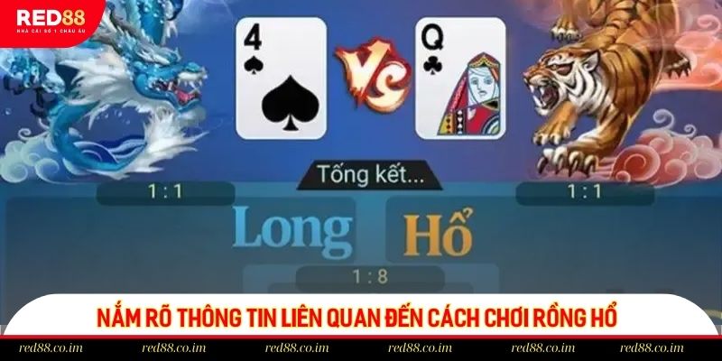 Nắm rõ thông tin liên quan đến cách chơi Rồng Hổ 