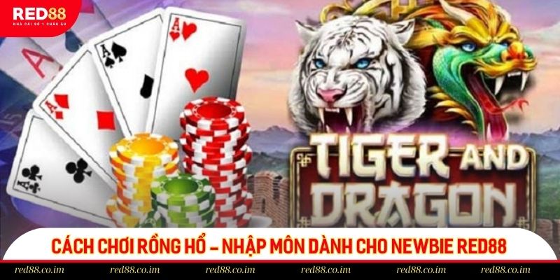 Cách chơi Rồng Hổ