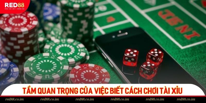 Tầm quan trọng của việc biết cách chơi Tài xỉu trước khi tham gia