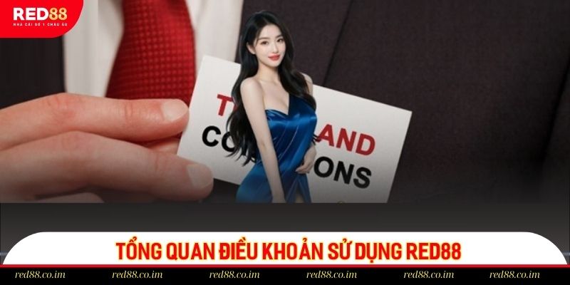 Điều khoản sử dụng đảm bảo xây dựng sân chơi an toàn, lành mạnh