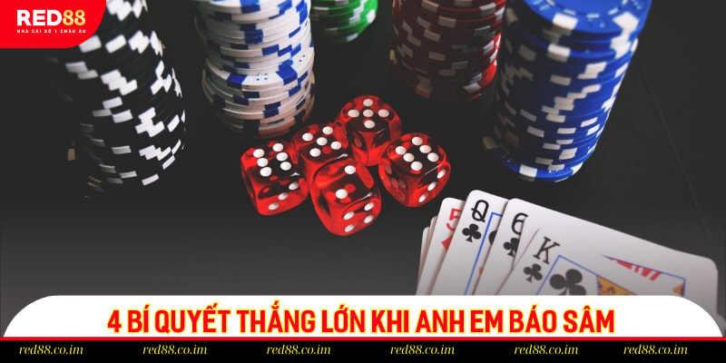 4 bí quyết thắng lớn khi anh em báo sâm