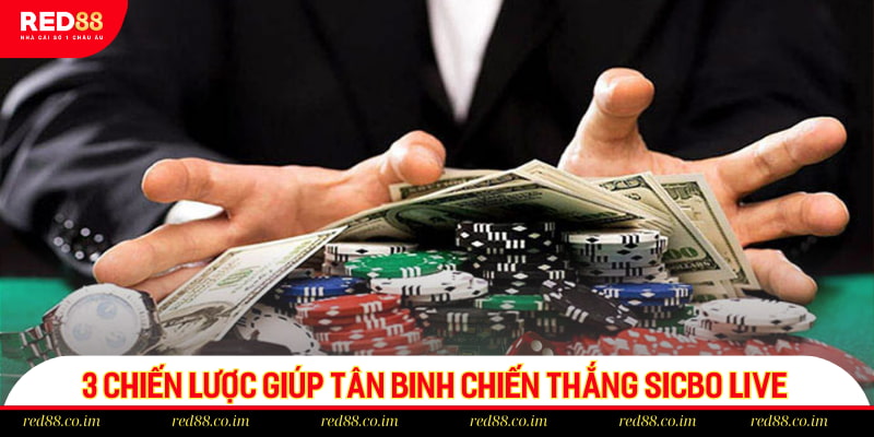 3 chiến lược giúp tân binh chiến thắng sicbo live